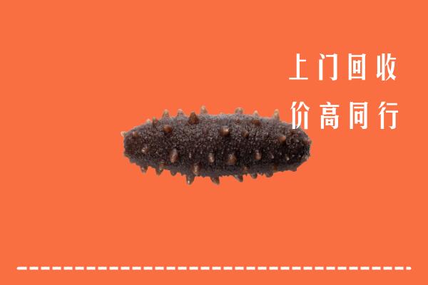 庆阳高价回收海参
